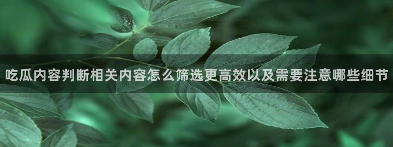 91吃瓜网站：吃瓜内容判断相关内容怎么筛选更高效以及需要注意哪些细节