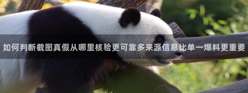 911黑料吃瓜:如何判断截图真假从哪里核验更可靠多来源信息比单一爆料更重要